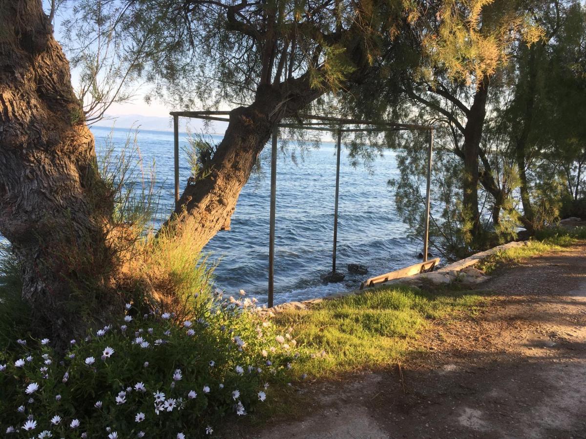 Seaside Apartment With Private Garden Nea Ankhialos Bagian luar foto